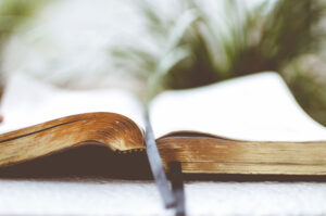 Closeup shot of an old open bible with a blurred background